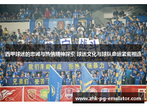 西甲球迷的忠诚与热情精神探索 球迷文化与球队命运紧密相连